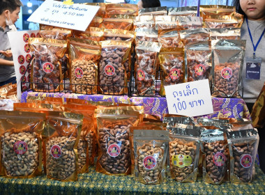 วันที่ 22 ธันวาคม 2568 นายสาธิต ปานขำ เลขานุการกรม ... พารามิเตอร์รูปภาพ 16