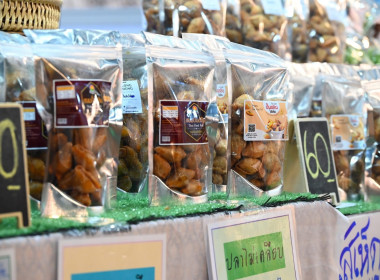 วันที่ 22 ธันวาคม 2568 นายสาธิต ปานขำ เลขานุการกรม ... พารามิเตอร์รูปภาพ 17