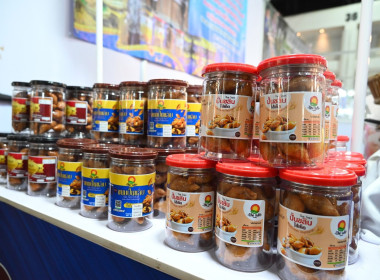 วันที่ 22 ธันวาคม 2568 นายสาธิต ปานขำ เลขานุการกรม ... พารามิเตอร์รูปภาพ 18