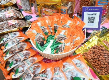 วันที่ 22 ธันวาคม 2568 นายสาธิต ปานขำ เลขานุการกรม ... พารามิเตอร์รูปภาพ 19