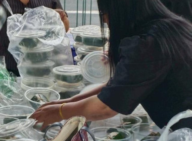 วันที่ 8 มกราคม 2569 สำนักงานเลขานุการกรม ... พารามิเตอร์รูปภาพ 7