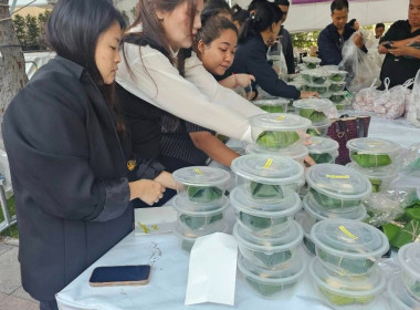 วันที่ 8 มกราคม 2569 สำนักงานเลขานุการกรม ... พารามิเตอร์รูปภาพ 10