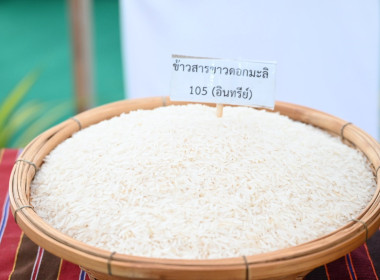 กสส.อัดงบ 4 หมื่นล้าน เดินหน้า 2 มาตรการ ... พารามิเตอร์รูปภาพ 7