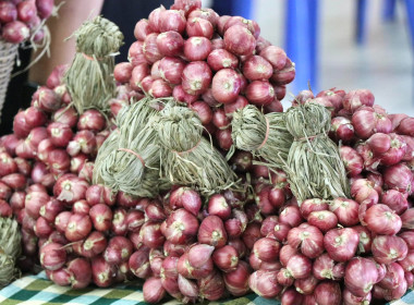 กรมส่งเสริมสหกรณ์ ... พารามิเตอร์รูปภาพ 2