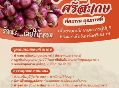 กรมส่งเสริมสหกรณ์ ... พารามิเตอร์รูปภาพ 1