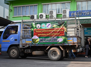 อธิบดีนิรันดร์ Kick Off ... พารามิเตอร์รูปภาพ 9