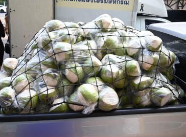 อธิบดีนิรันดร์ Kick Off ... พารามิเตอร์รูปภาพ 8