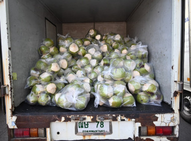 อธิบดีนิรันดร์ Kick Off ... พารามิเตอร์รูปภาพ 11