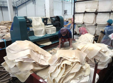 กรมส่งเสริมสหกรณ์งัด 7 มาตรการช่วยสหกรณ์ หนุนใช้ ... พารามิเตอร์รูปภาพ 5