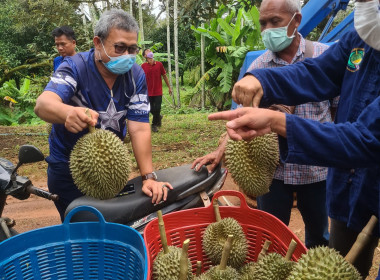 กรมส่งเสริมสหกรณ์งัด 7 มาตรการช่วยสหกรณ์ หนุนใช้ ... พารามิเตอร์รูปภาพ 14