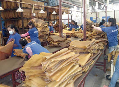 กรมส่งเสริมสหกรณ์งัด 7 มาตรการช่วยสหกรณ์ หนุนใช้ ... พารามิเตอร์รูปภาพ 9