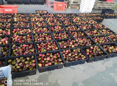 “กรมส่งเสริมสหกรณ์”ชูสองสหกรณ์ต้นแบบ ... พารามิเตอร์รูปภาพ 1