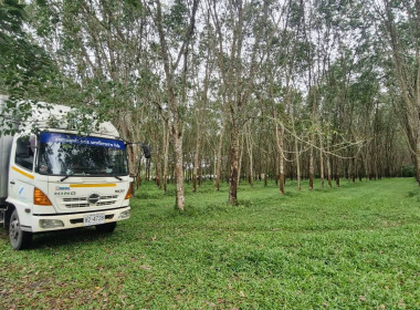 “กรมส่งเสริมสหกรณ์”ชูสองสหกรณ์ต้นแบบ ... พารามิเตอร์รูปภาพ 6