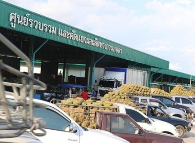 กรมส่งเสริมสหกรณ์ขานรับนโยบายเร่งด่วน”รมช.ปิยะรัฐชย์” ... พารามิเตอร์รูปภาพ 6