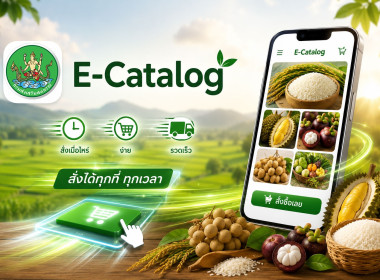 “E-Catalog” ซื้อขายสินค้าสหกรณ์ทั่วไทย เชื่อมศูนย์กระจายฯ ... พารามิเตอร์รูปภาพ 3