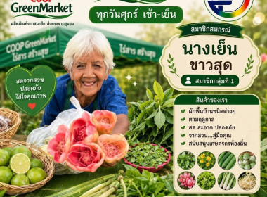 “อธิบดีนิรันดร์” ... พารามิเตอร์รูปภาพ 15