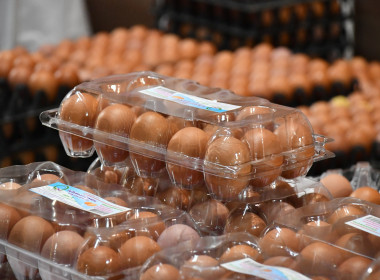 กระทรวงเกษตรและสหกรณ์เดินหน้าขยายช่องทางตลาดสินค้าสหกรณ์ต่อเนื่อง ยกขบวนความอร่อยและสินค้าอัตลักษณ์จากสหกรณ์บุกรัฐสภา ... พารามิเตอร์รูปภาพ 12