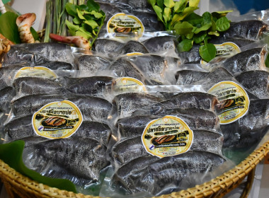 กระทรวงเกษตรและสหกรณ์เดินหน้าขยายช่องทางตลาดสินค้าสหกรณ์ต่อเนื่อง ยกขบวนความอร่อยและสินค้าอัตลักษณ์จากสหกรณ์บุกรัฐสภา ... พารามิเตอร์รูปภาพ 15