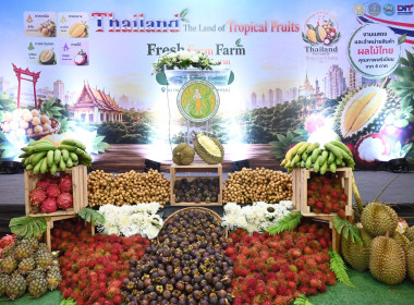 กระทรวงเกษตรฯ ยกทัพผลไม้ไทย 4 ภาค บุกลานคนเมือง ... พารามิเตอร์รูปภาพ 7