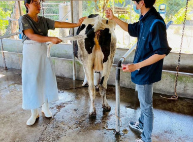“นมวาริช” ผลิตภัณฑ์นมโคแท้ 100% จากเทือกเขาภูพาน ... พารามิเตอร์รูปภาพ 3