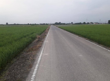 เปิดประสบการณ์ฝึกงานทำการเกษตรประเทศญี่ปุ่น ผ่าน “นุชา ... พารามิเตอร์รูปภาพ 7