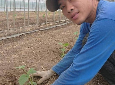เปิดประสบการณ์ฝึกงานทำการเกษตรประเทศญี่ปุ่น ผ่าน “นุชา ... พารามิเตอร์รูปภาพ 5