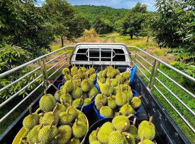 กรมส่งเสริมสหกรณ์เตรียมทุ่มเงินกองทุนพัฒนาสหกรณ์ 500 ล. ... พารามิเตอร์รูปภาพ 3