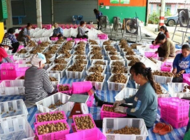 กรมส่งเสริมสหกรณ์เตรียมทุ่มเงินกองทุนพัฒนาสหกรณ์ 500 ล. ... พารามิเตอร์รูปภาพ 8