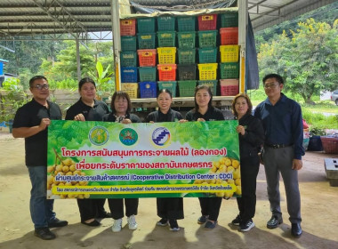 อุตรดิตถ์เชื่อมโยงเครือข่ายสหกรณ์ ส่งลองกองคุณภาพ 5.4 ตัน ... พารามิเตอร์รูปภาพ 4