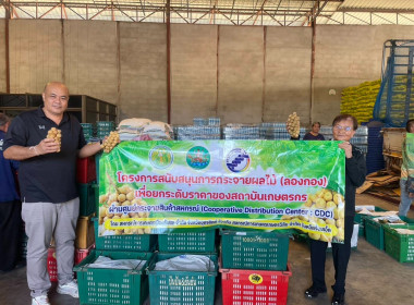 อุตรดิตถ์เชื่อมโยงเครือข่ายสหกรณ์ ส่งลองกองคุณภาพ 5.4 ตัน ... พารามิเตอร์รูปภาพ 5